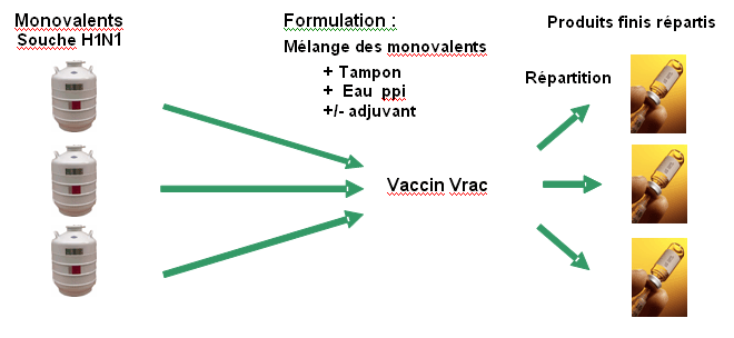 vaccin répartition