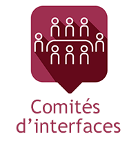 comites_interfaces
