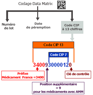 le code CIP renseigne  sur  la dénomination,  la forme pharmaceutique,  le dosage , le conditionnement et la contenance du conditionnement d'une spécialité pharmaceutique