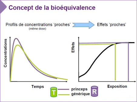 L’évaluation de la qualité de l’étude de bioéquivalence d’un médicament générique fait partie intégrante de l’évaluation d’une demande d’AMM. 