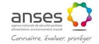Anses